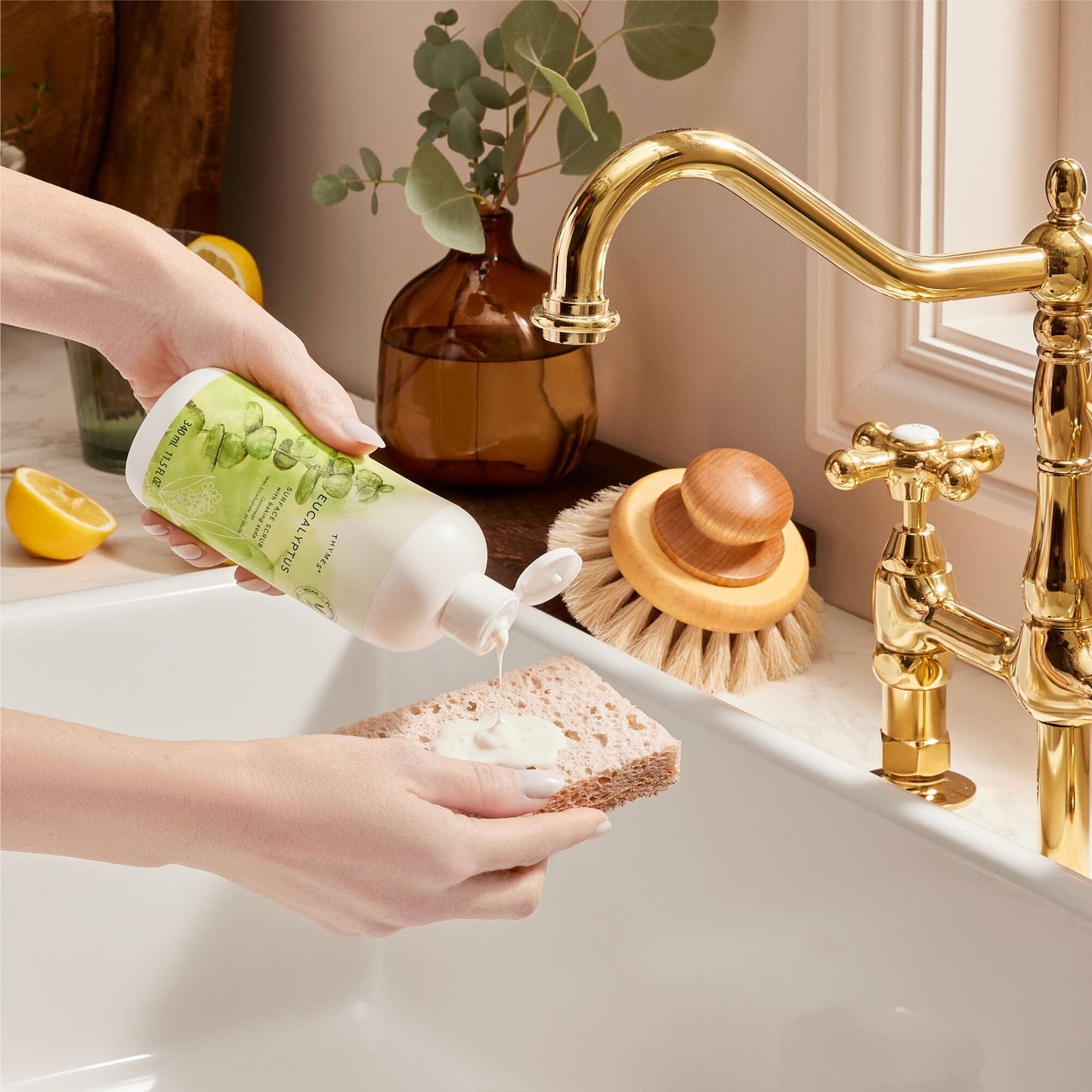 Eucalyptus Surface Scrub