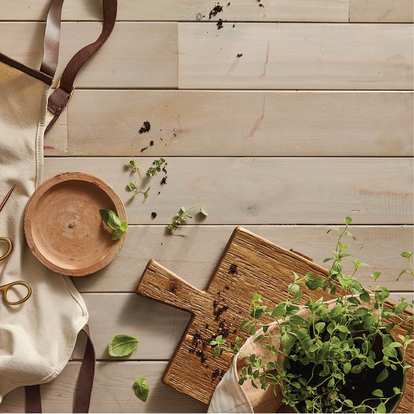 Fresh-Cut Basil Reed Diffuser Oil Refill